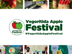 v_apple_fest_photo_collage.png