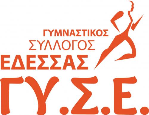 1353918_10201875205780983_1484530917_o_-_gymnastikos_syllogos_edessas.jpg